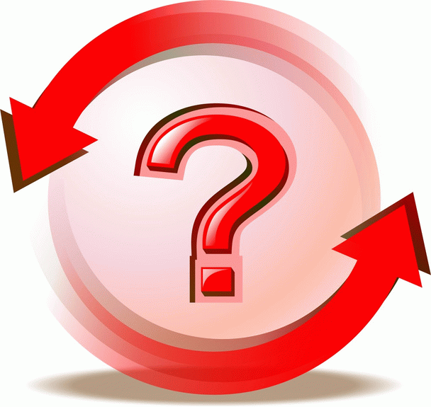 چرا گربه‌ام در خاک دستشویی نمی‌کند؟ (14 دلیل و راه حل)